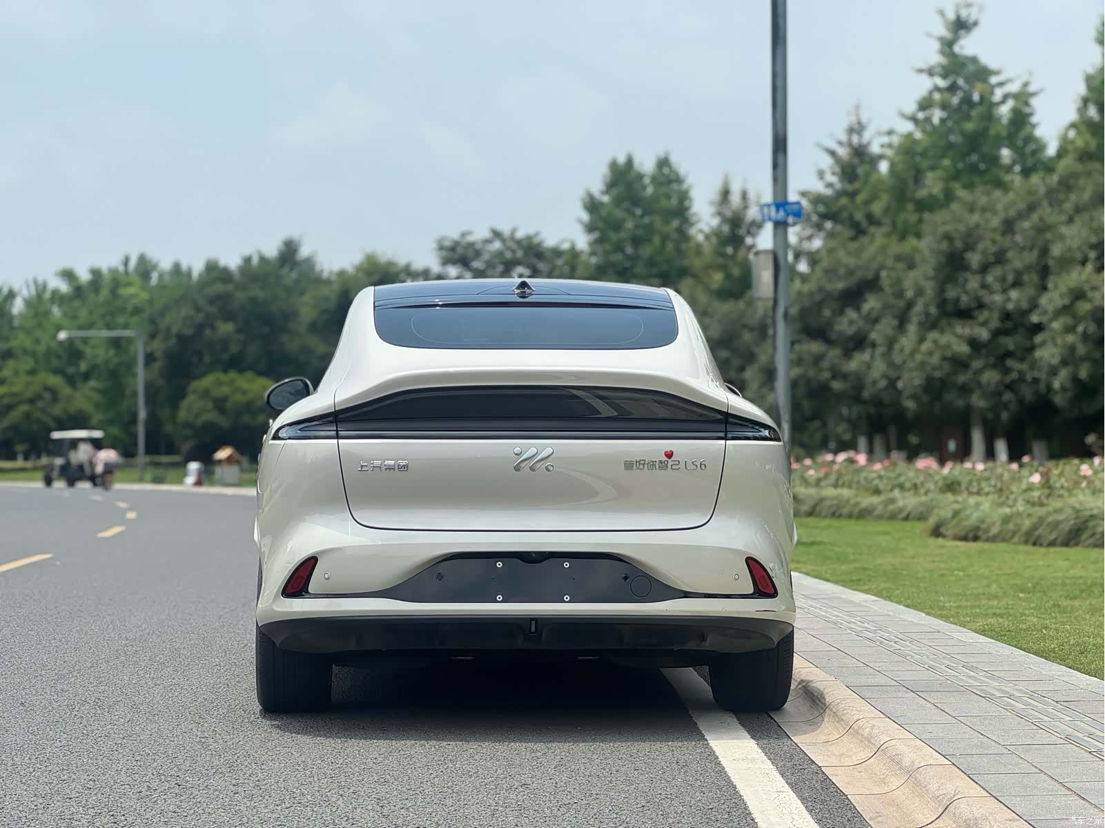 IM Motors LS6, 2024 6