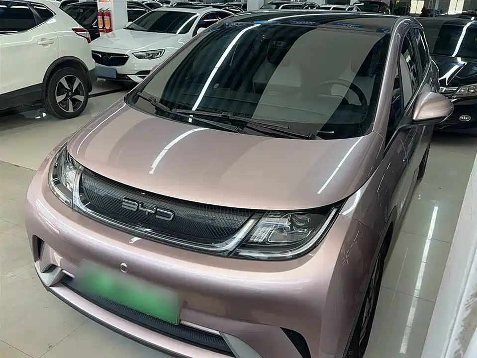 BYD dolphin