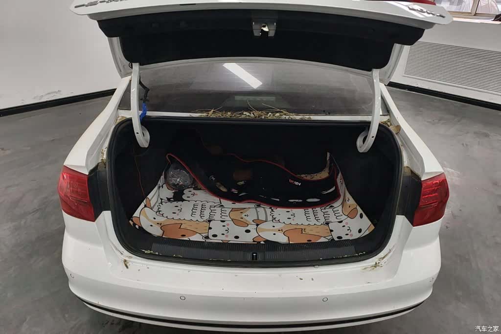 Volkswagen Bora, 2021 4