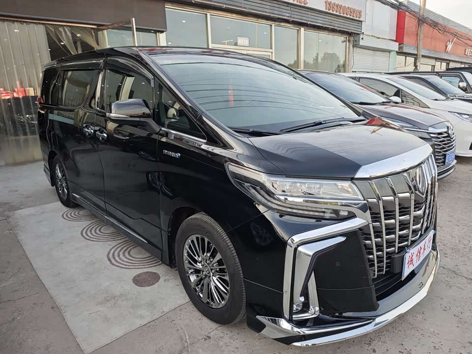 Toyota Elfa