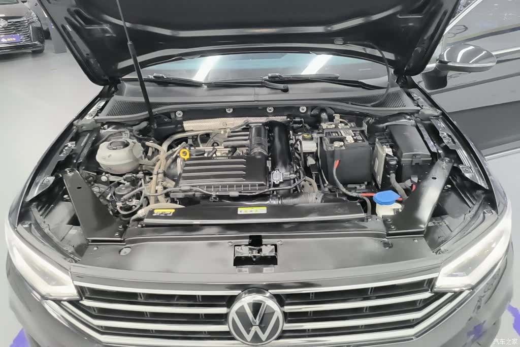 Volkswagen Magotan, 2022 10