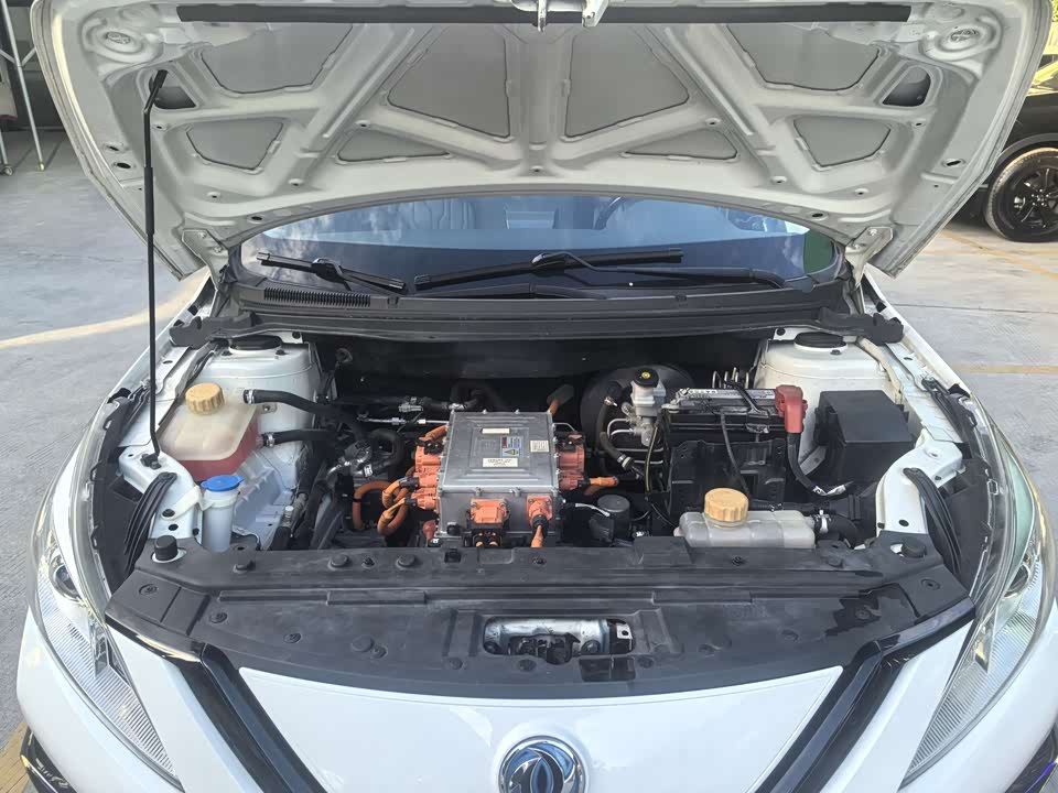 Forthing Popular S50EV