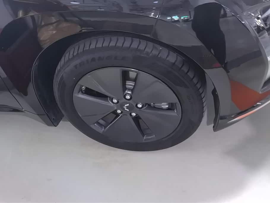 Wuling Wuling Starlight