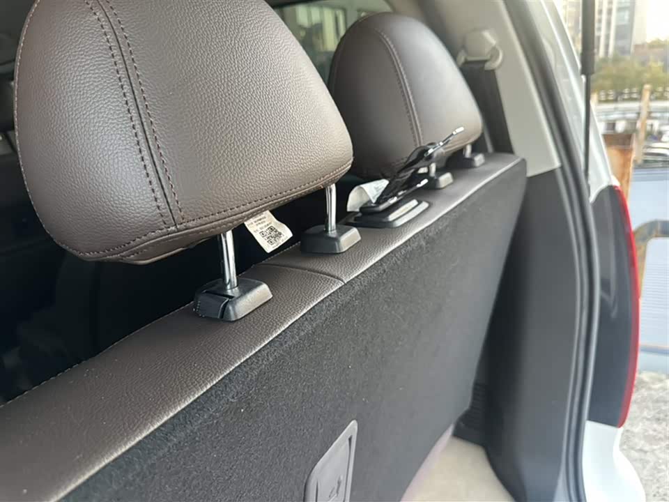 Forthing Lingzhi PLUS