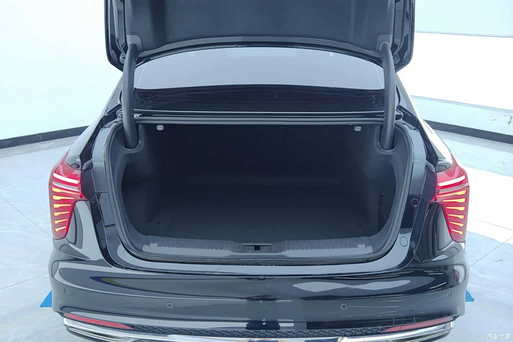 Hongqi H5, 2024 3