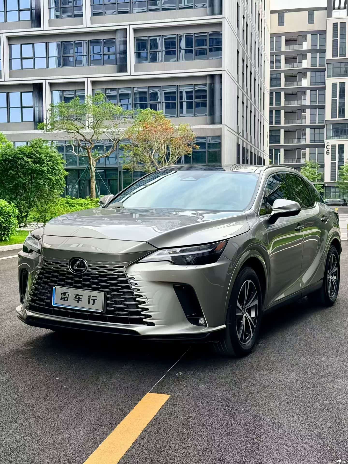 Lexus RX, 2024 1