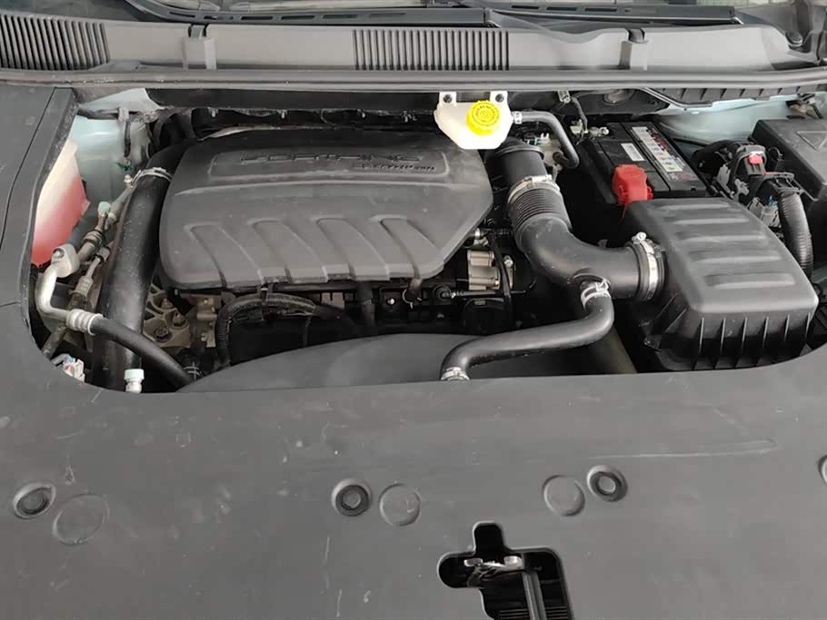 Forthing Popular yachts