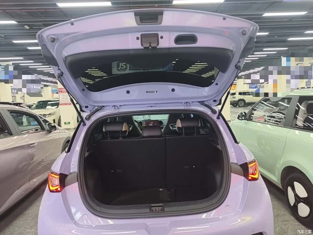 BYD Dolphin, 2024 19