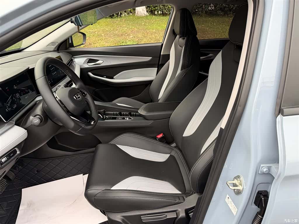 Geely Binray, 2024 8