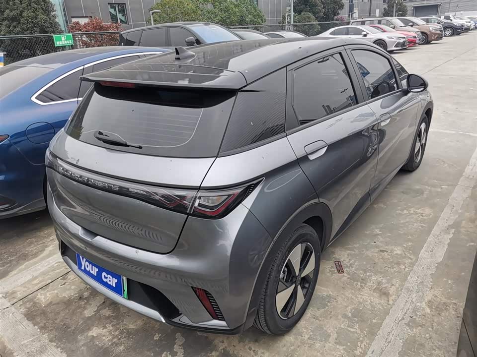 BYD dolphin