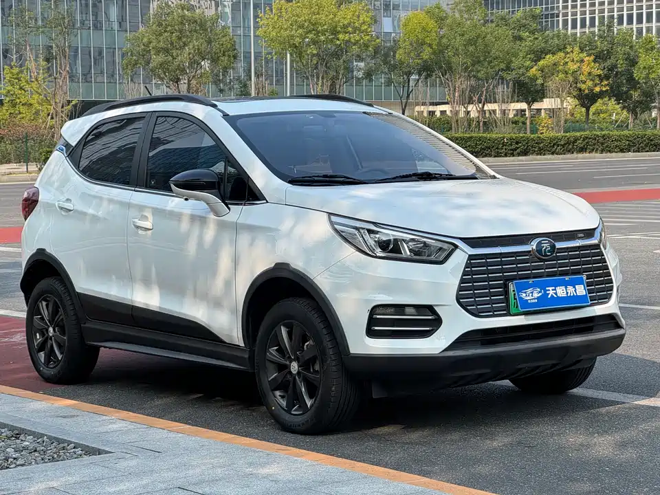 BYD Yuanxin Energy