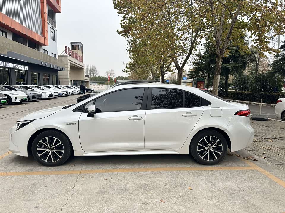 Toyota Lei Ling
