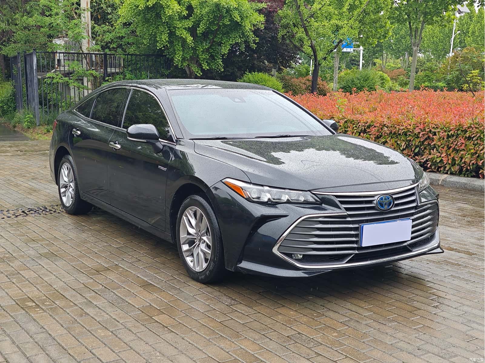 Toyota Avalon, 2022 4