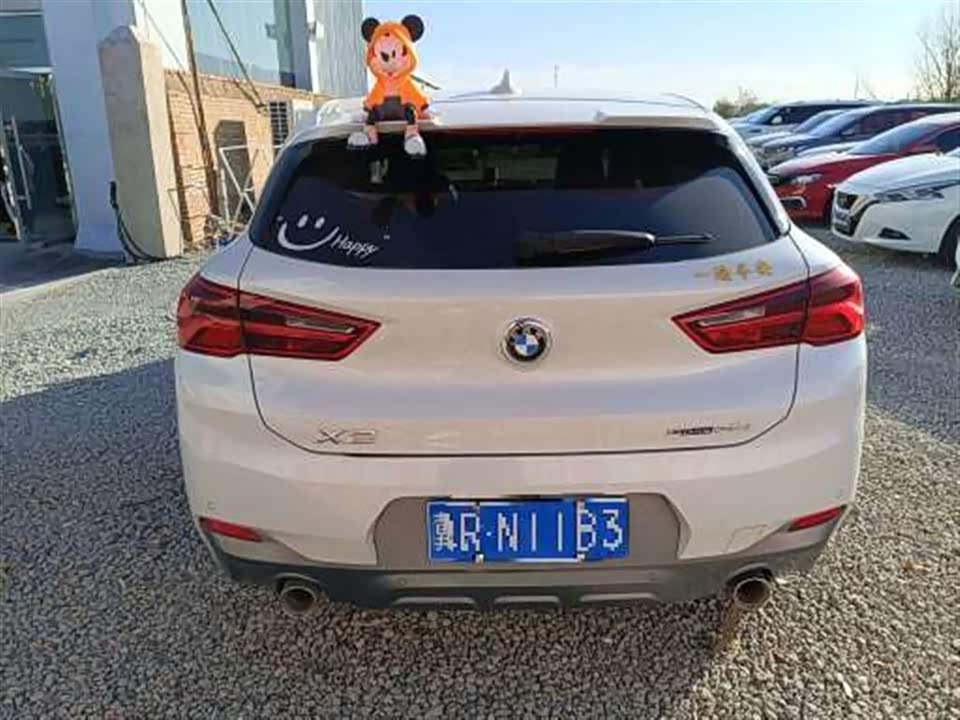 BMW X2