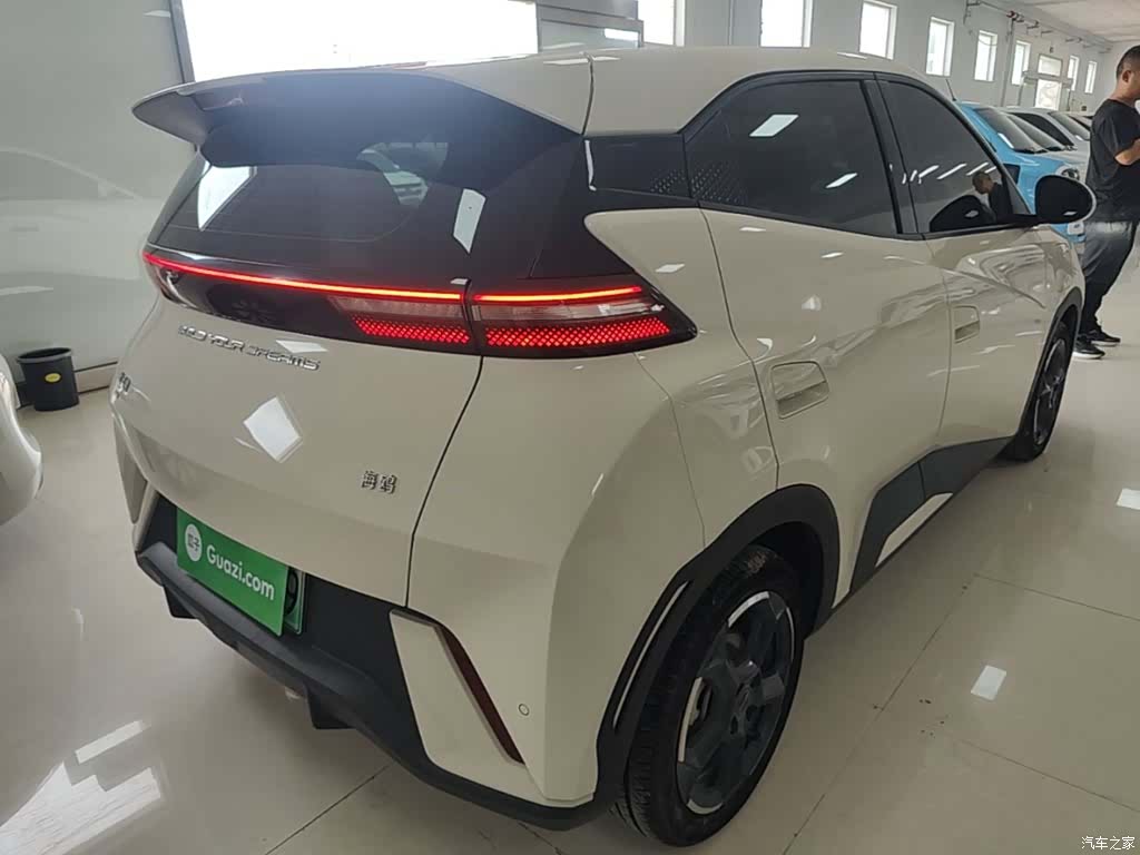 BYD Seagull, 2024 7