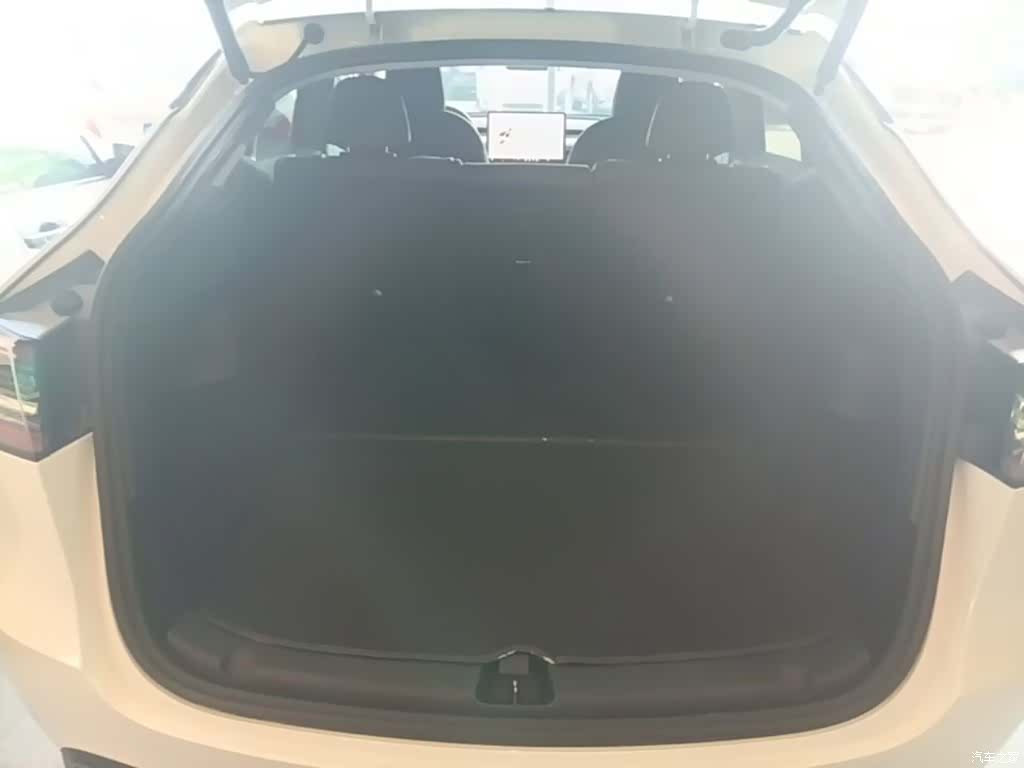 Tesla Model Y, 2021 19