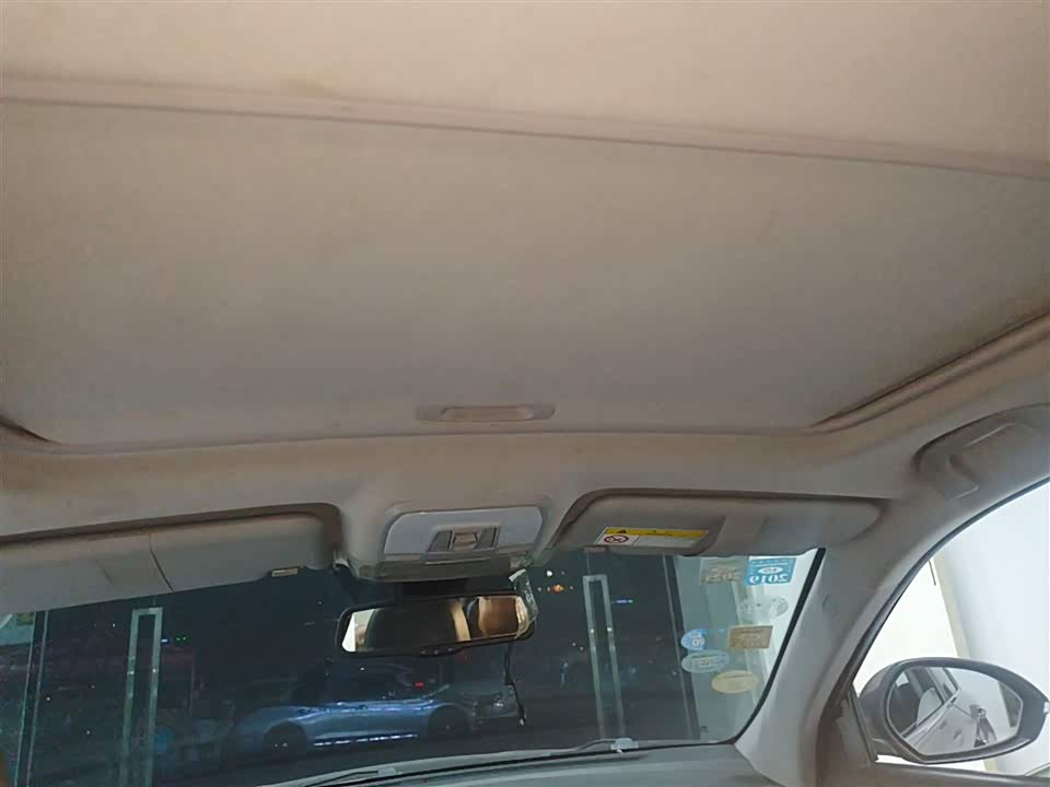 Leopaard Cheetah CS10