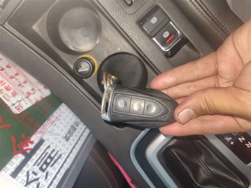 Leopaard Cheetah CS10