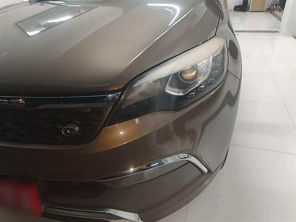 Leopaard Cheetah CS10