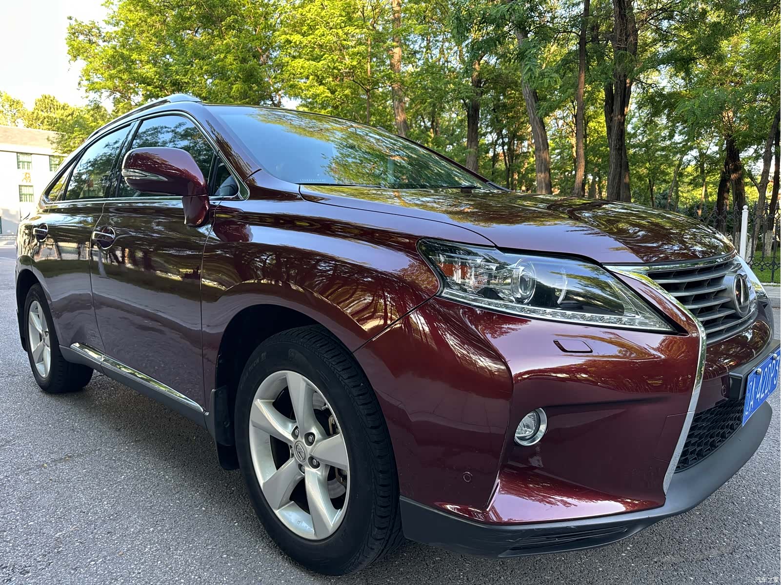 Lexus RX, 2014 3