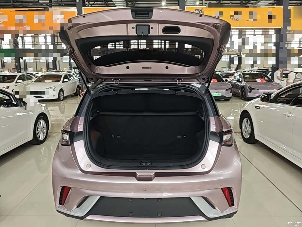 BYD Dolphin, 2022 19