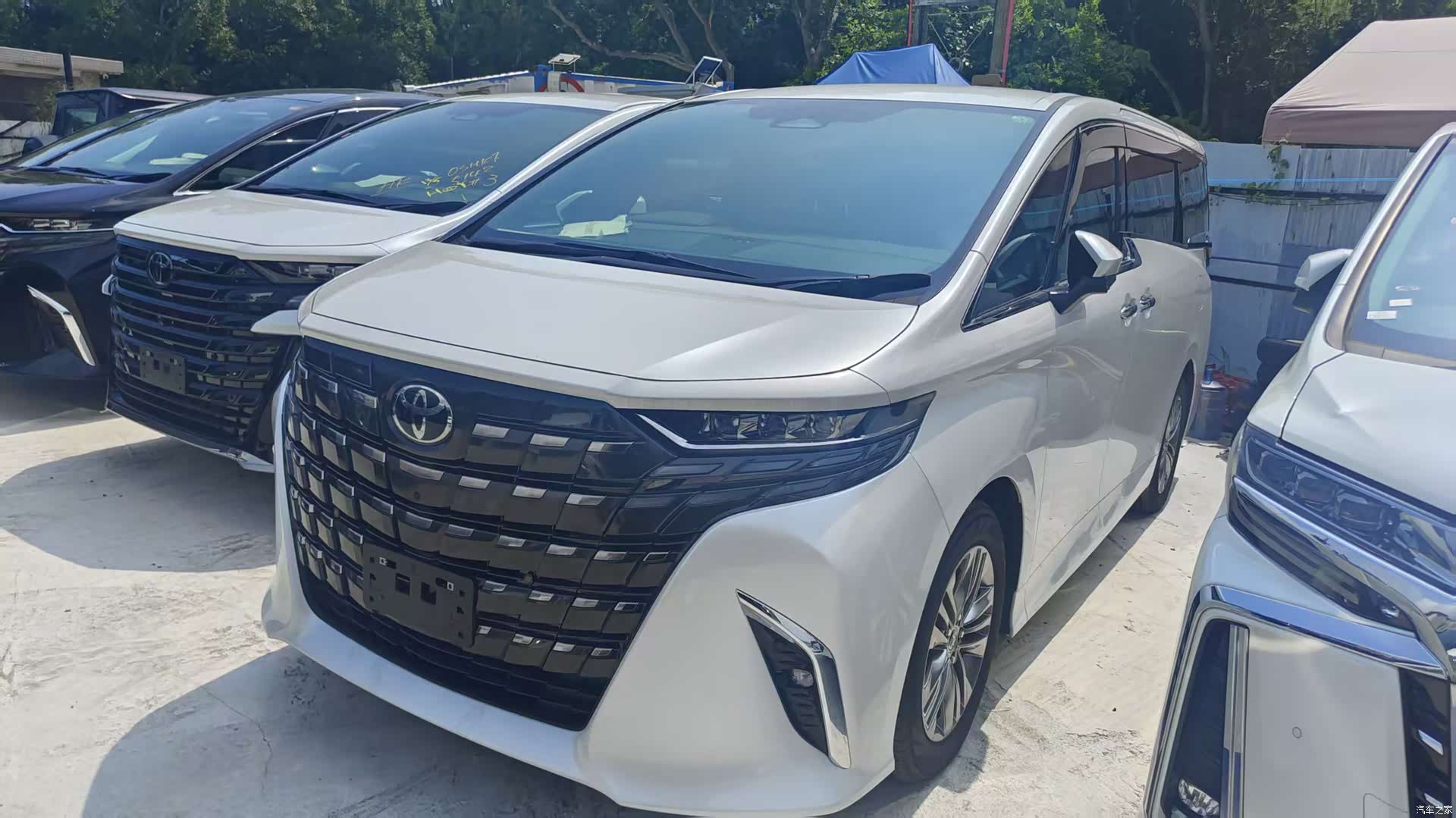 Toyota Alphard, 2024 1