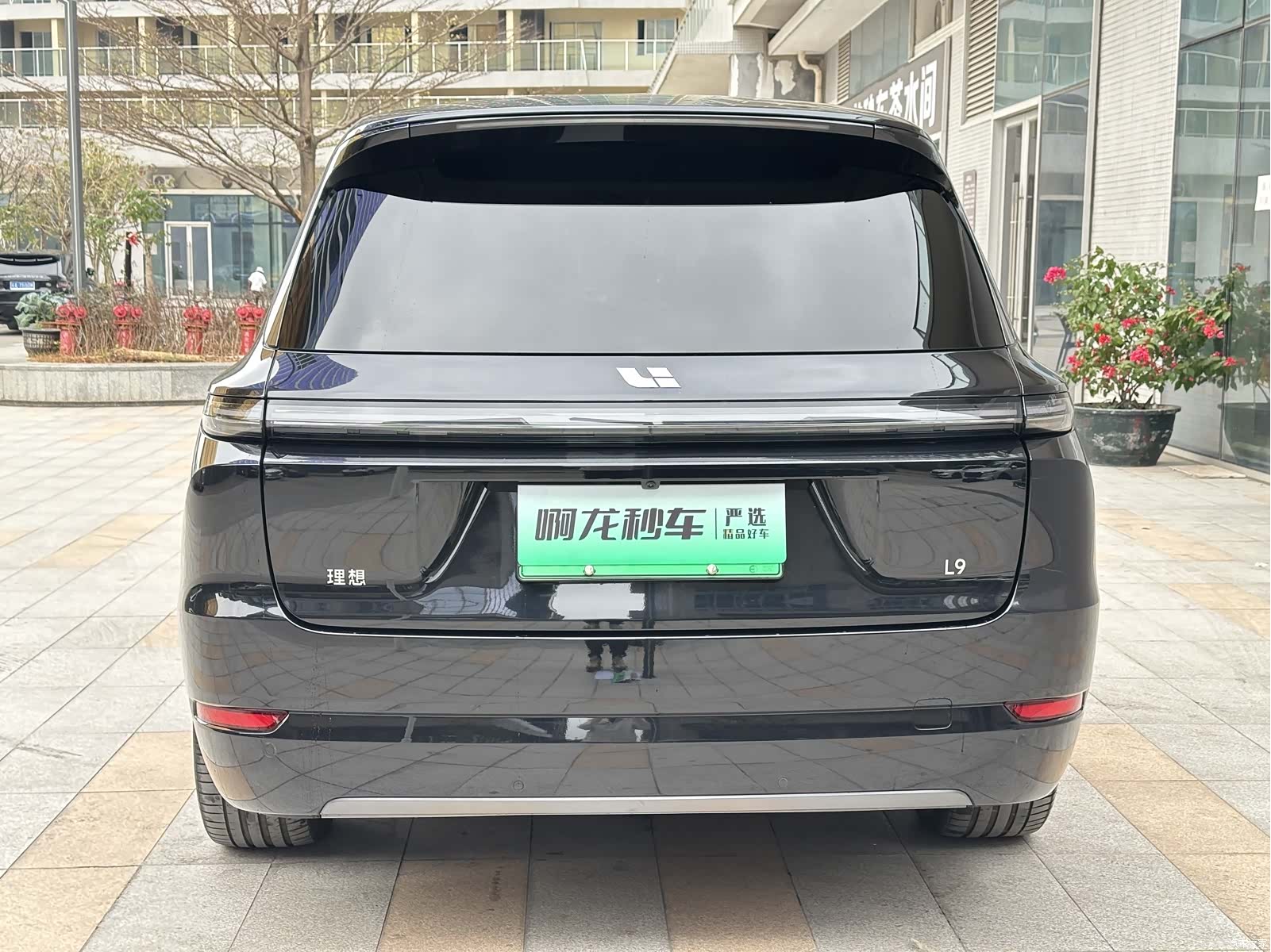 Li Auto L9, 2024 8