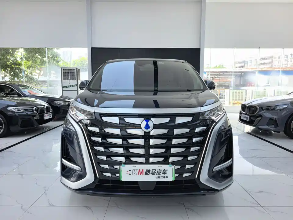 Denza D9
