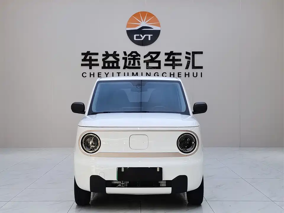 Geely Galaxy panda