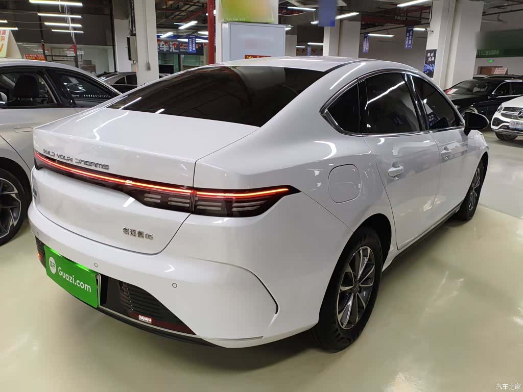 BYD Destroyer 05, 2024 все фото