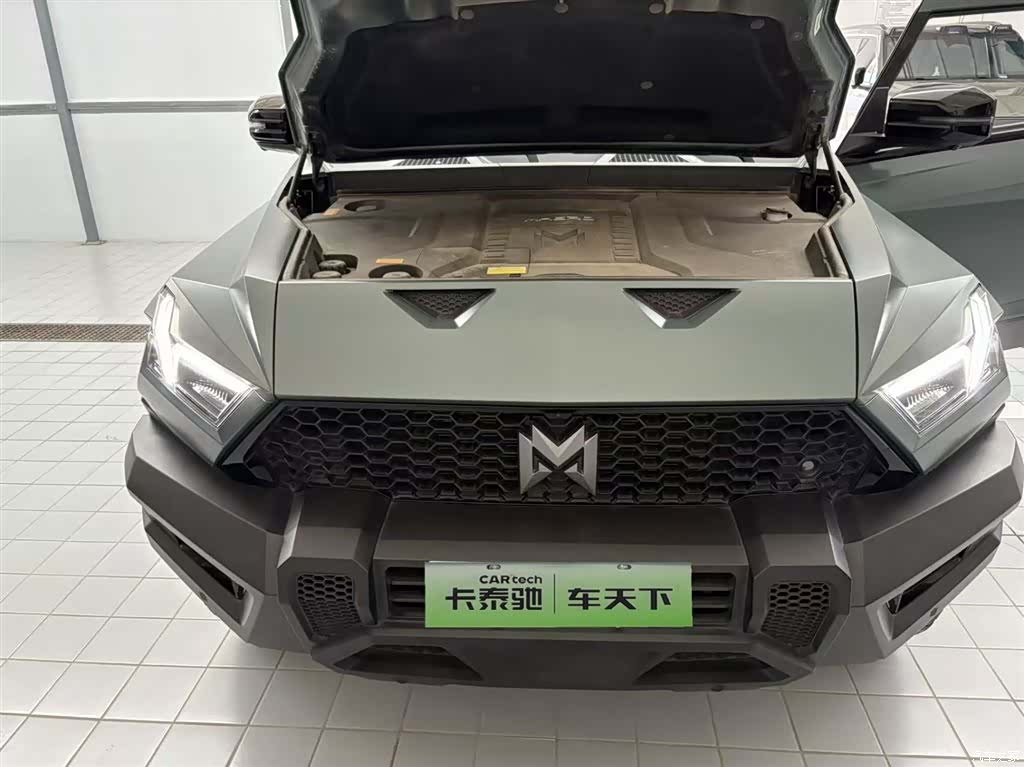 Mengshi 917, 2024 12
