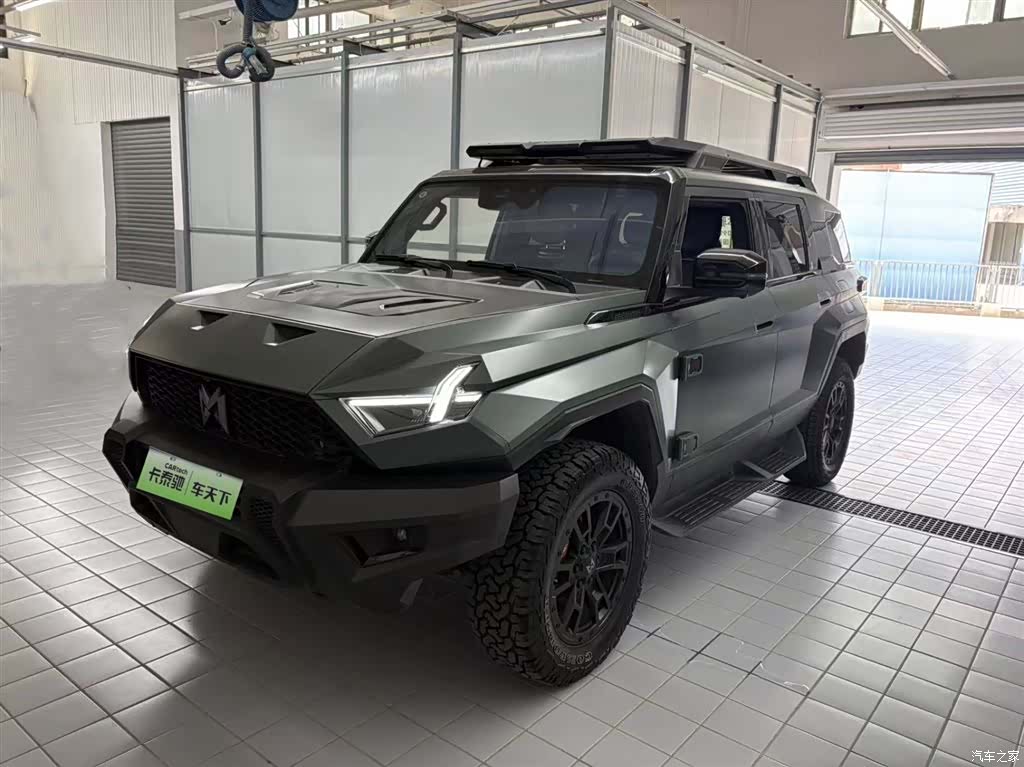 Mengshi 917