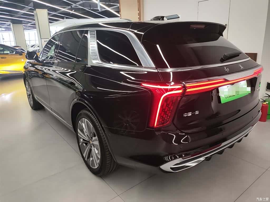 Hongqi E-HS9, 2023 все фото