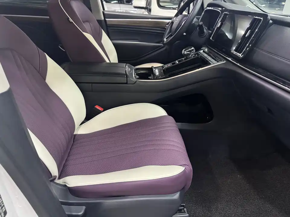 Trumpchi Trumpchi M8