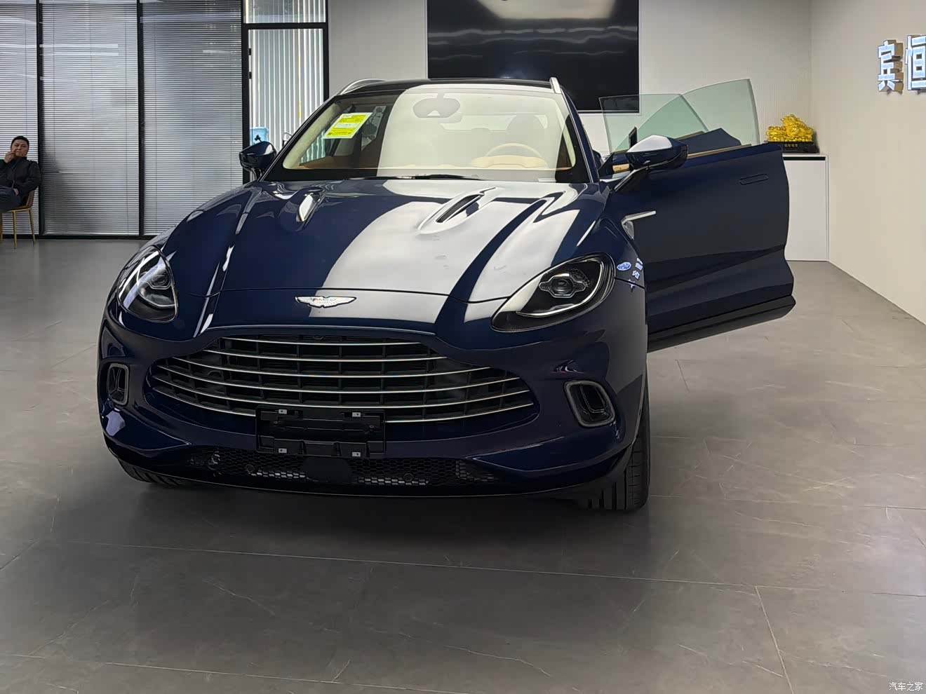 Aston Martin DBX, 1900 все фото