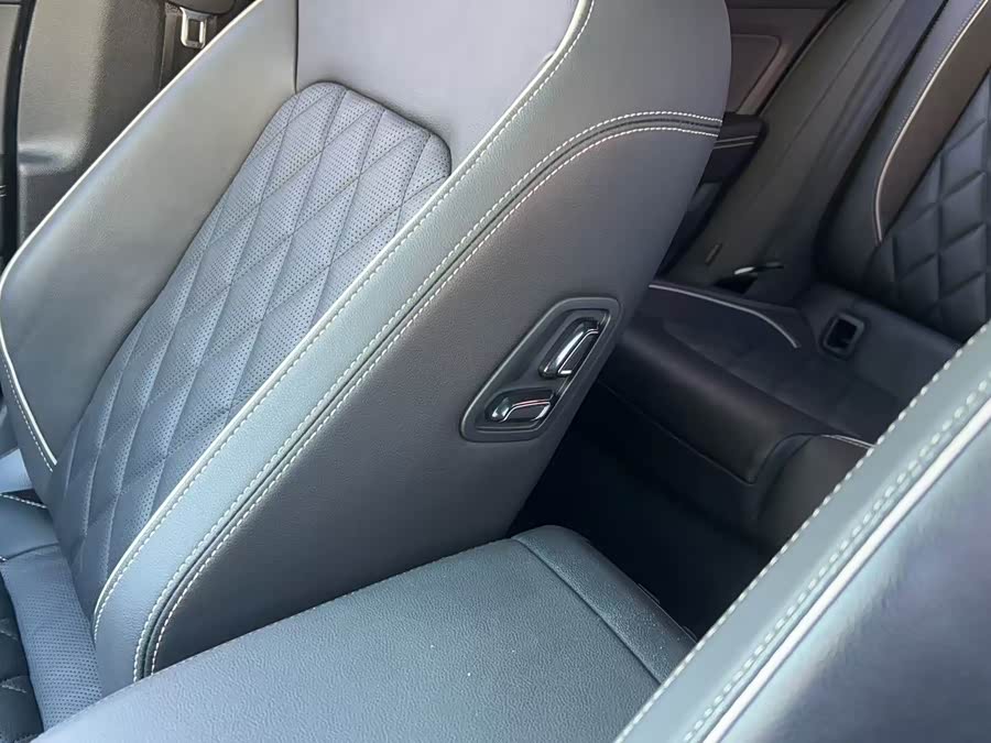 Volkswagen Magotan GTE PHEV 2020, фото 18