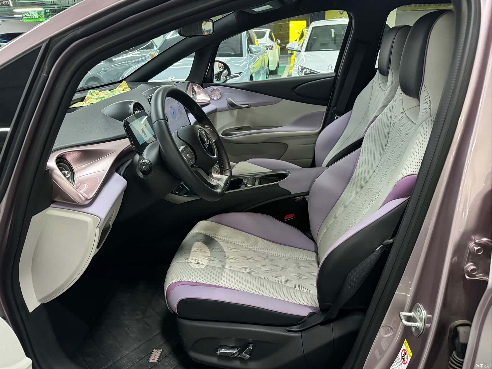 BYD Dolphin, 2024 4