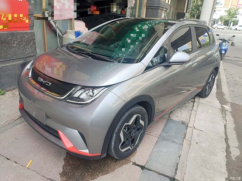 BYD Dolphin, 2022 1