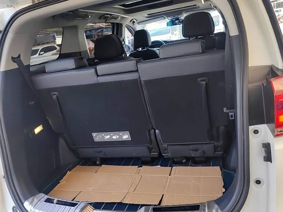 Trumpchi Trumpchi M8