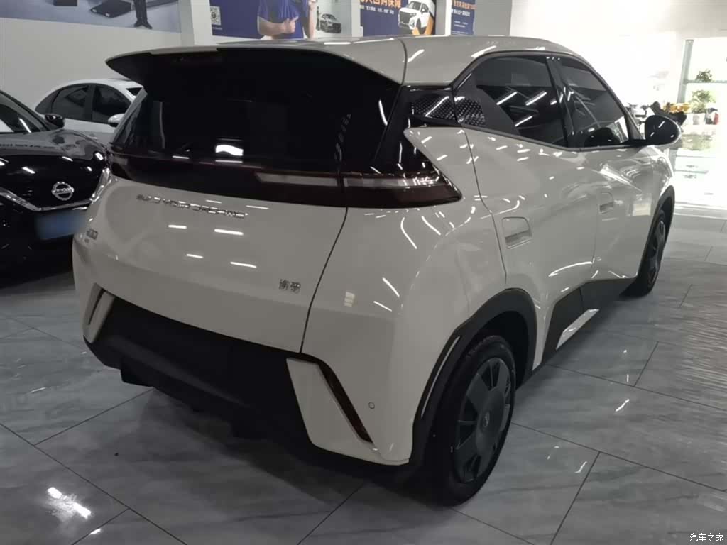BYD Seagull, 2024 7