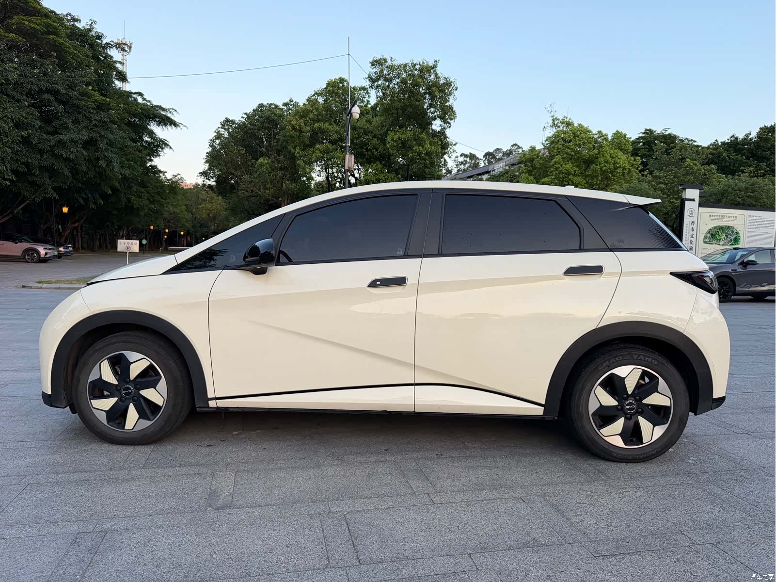 BYD Dolphin, 2024 14