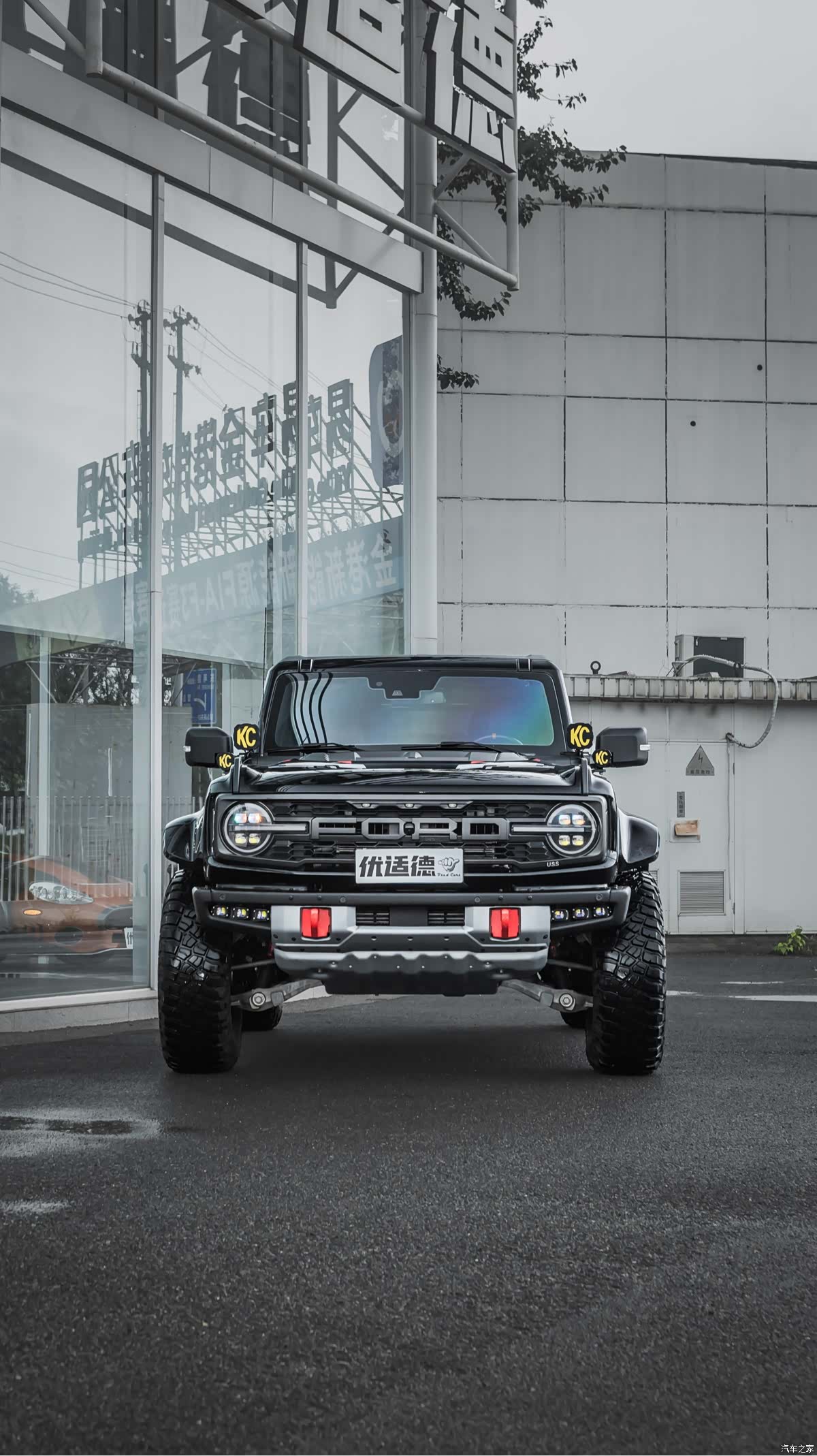 BroncoLieMa Bronco, 2024 2