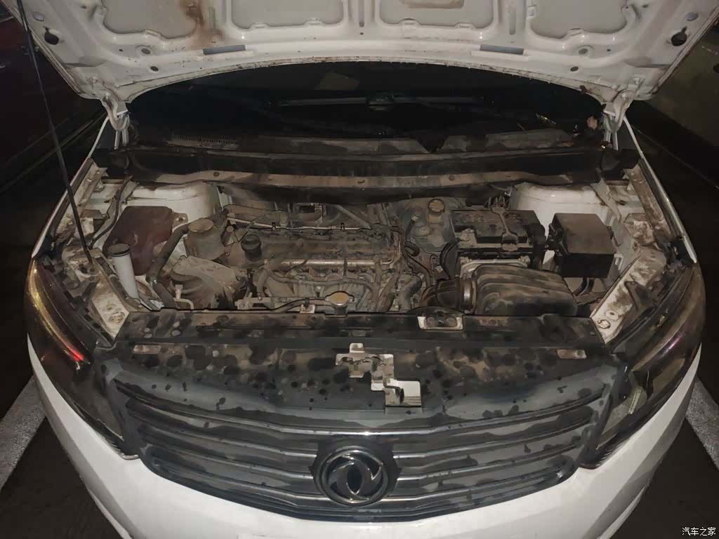 DongFeng S500, 2017 21