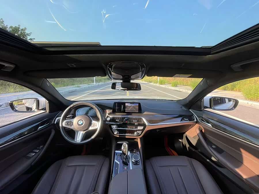 BMW 5 Series 2019, фото 7