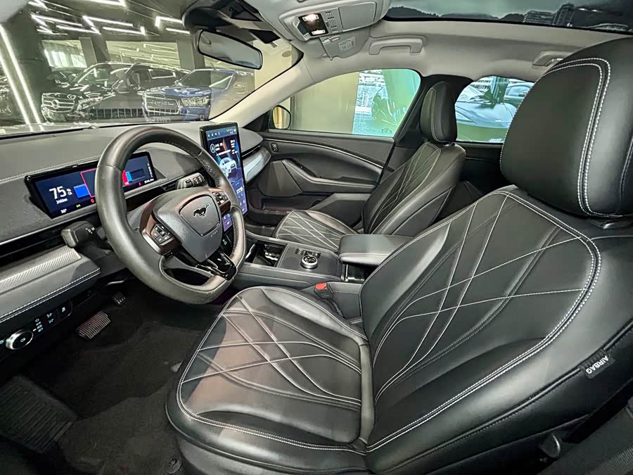 Ford Mustang Mach-E 2022, фото 9