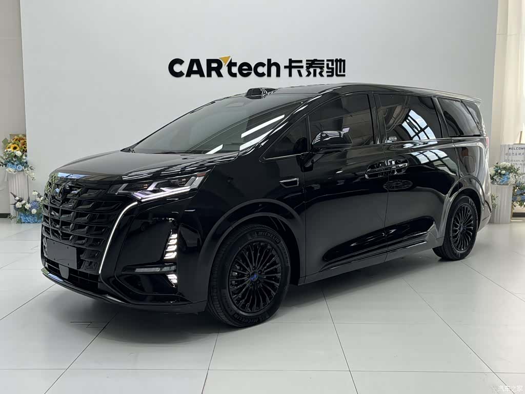 Denza D9
