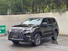 �׿���˹GX 2010�� 460