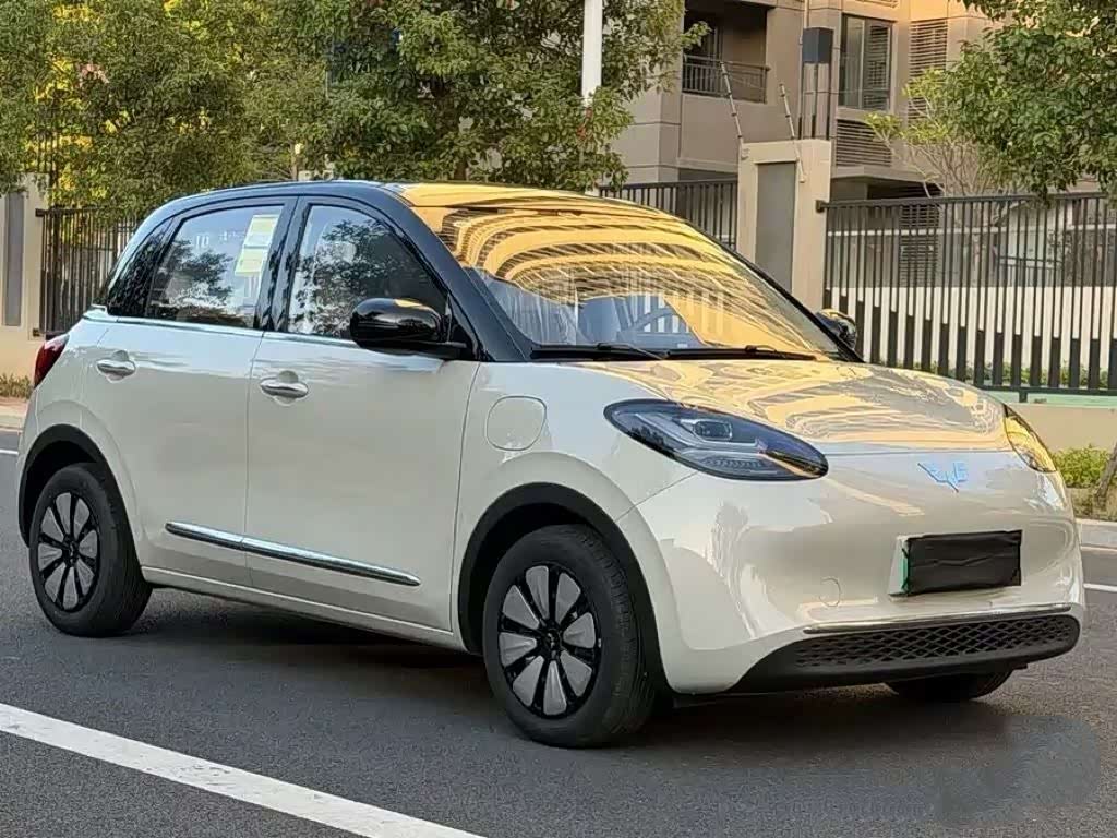 Wuling Binguo