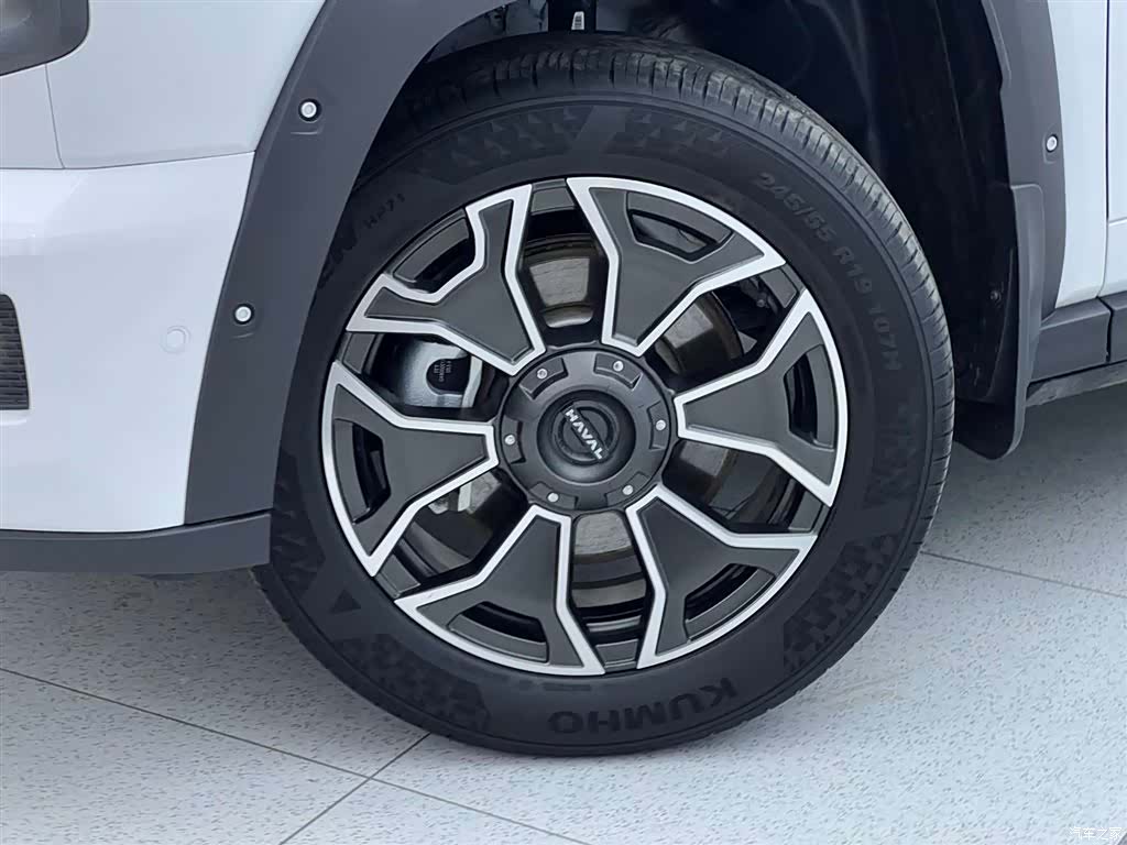 Haval Big Dog, 2024 33