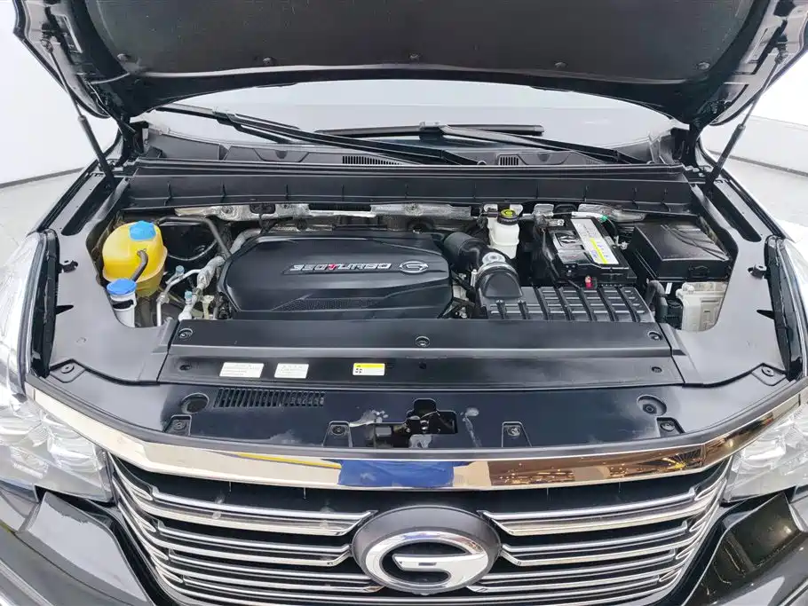 Trumpchi Trumpchi GS8
